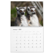 2025 Zoete ringstaartmaki's Kalender (Jan 2027)