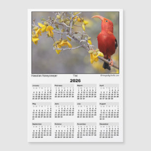 2026 5x7 Magneetkalender Iiwi HawaiianHoneycreeper