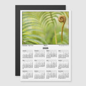 2026 5x7 Magnet Calendar Amau Hawaiian Fern (Devant / Derrière)
