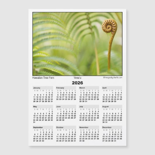 2026 5x7 Magnet Calendar Amau Hawaiian Fern (Devant)
