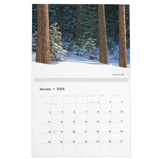 2026 Annual Photography Calendar Kalender (Jan 2026)