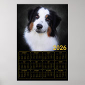 2026 Australian Shepherd Calendar  Poster (Voorkant)