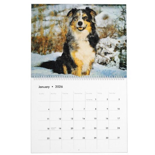 2026 Australian Shepherd Cattle Dogs Aussies Gift Kalender (Jan 2026)