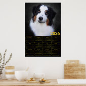 2026 Australische Herderskalender Poster (Keuken)