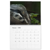 2026 Baby dieren Kalender (Feb 2026)