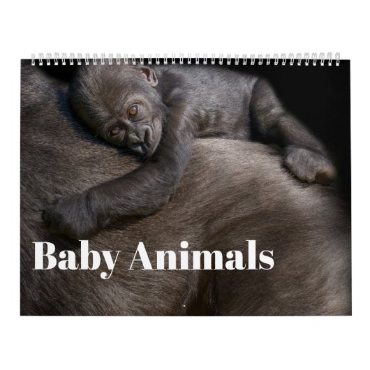 2026 Baby dieren Kalender (Hoes)