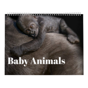 2026 Baby dieren Kalender