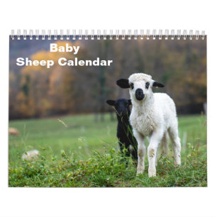 2026 Baby Schaap Lam Kalender