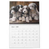 2026 Bearded Collies Kalender (Mar 2027)