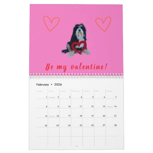 2026 Bernedoodle photo Calendar Kalender (Feb 2026)