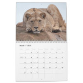 2026 Big Cat Kalender (Mar 2026)