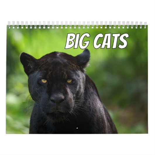 2026 Big Cat Kalender (Hoes)