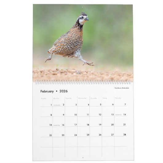 2026 - Birds of the Lower Rio Grande Valley Calend Kalender (Feb 2026)