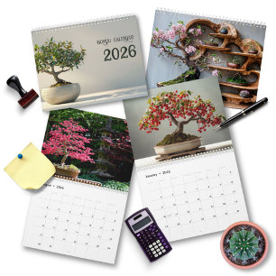 2026 Bonsai Kunst Zen Minimalistische Fotografie Kalender