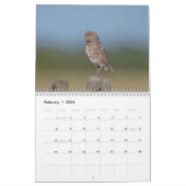 2026 Burrowing Uilen van Florida Kalender (Feb 2026)