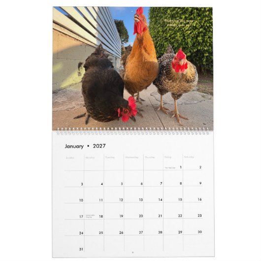 2026 Buurt Kippenkalender - Groot Kalender (Jan 2027)