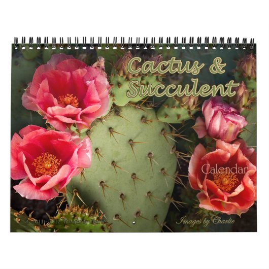 2026 Cactus & Succulent Flower Wall Kalender (Hoes)