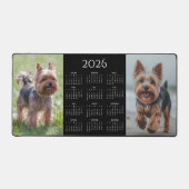 2026 Calendar and  2 Photo Pet  (Recto)