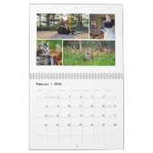 2026 Cat Calendar Kalender (Feb 2026)