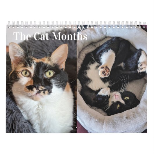2026 Cat Calendar Kalender (Hoes)