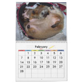 2026 Clara's Corner Groundhog-agenda A Kalender (Feb 2027)