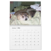 2026 Clara's Corner Groundhog Calendar B Kalender (Jan 2026)