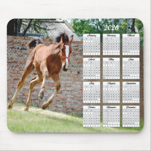 2026 Colt Renkalender Muismat