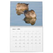 2026 Duck Foto's Wandkalender Kalender (Mar 2026)