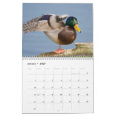 2026 Duck Foto's Wandkalender Kalender (Jan 2027)