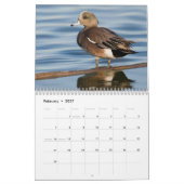 2026 Duck Foto's Wandkalender Kalender (Feb 2027)