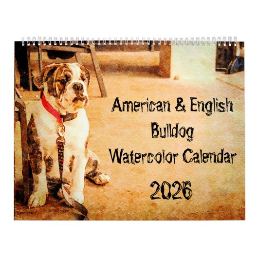 2026 Engelse Bulldog Britse Amerikaanse Bully Cade Kalender (Hoes)