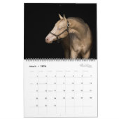 2026 Equine Calendar Kalender (Mar 2026)