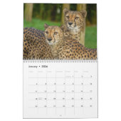 2026 Fast and the Beautiful: Cheetah Collectie Kalender (Jan 2026)