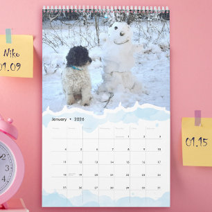 2026 Gepersonaliseerde Foto van Hond Kat Waterver Kalender