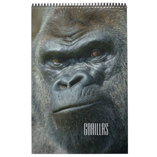 2026 Gorilla Kalender (Hoes)