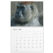 2026 Gorilla Kalender (Jan 2027)