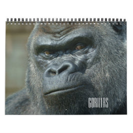 2026 Gorilla Kalender