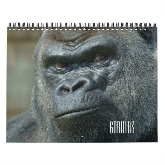 2026 Gorilla Kalender (Hoes)