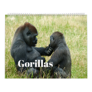 2026 Gorilla Kalender