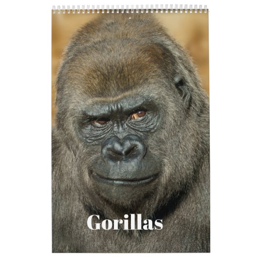 2026 Gorilla Kalender (Hoes)