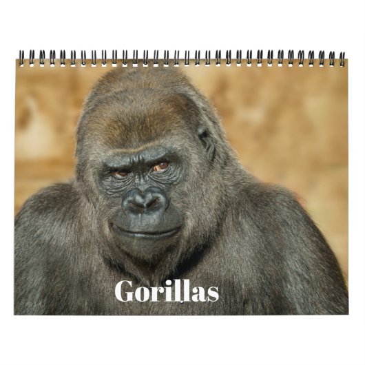 2026 Gorilla Kalender (Hoes)