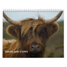 2026 Highland Koeien