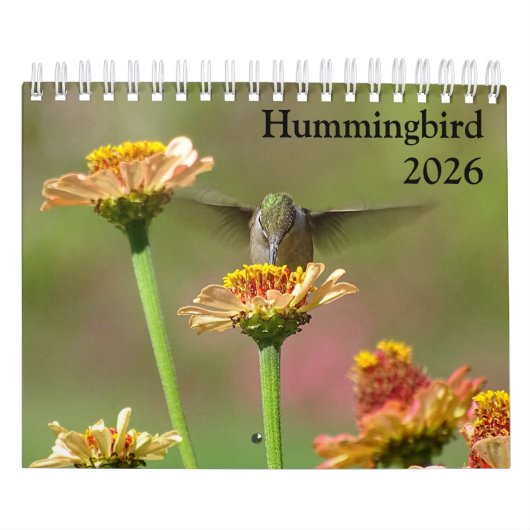 2026 Hummingbird Calendar Kalender (Hoes)