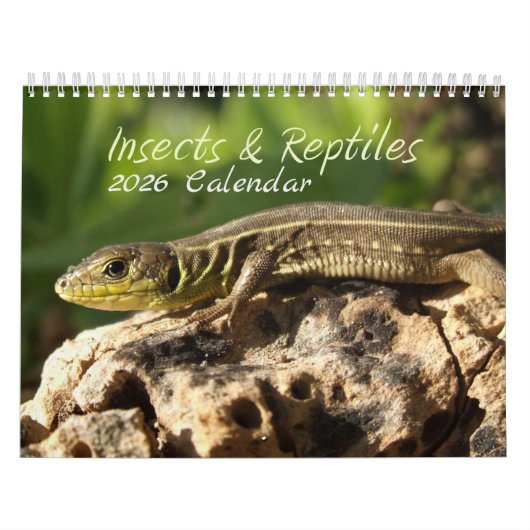 2026 Insecten & Reptielen Kalender (Hoes)