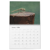 2026 Insecten & Reptielen Kalender (Jan 2026)