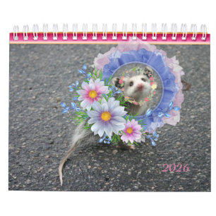 2026 Kalender Kleurrijke Strepen Opossum Bloemen
