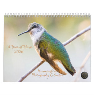 2026 Kolibrie Fotografie: Een Jaar van Vleugels Kalender