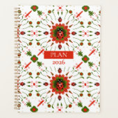 2026 Ladybug Red, White, Green Spiral (Devant)