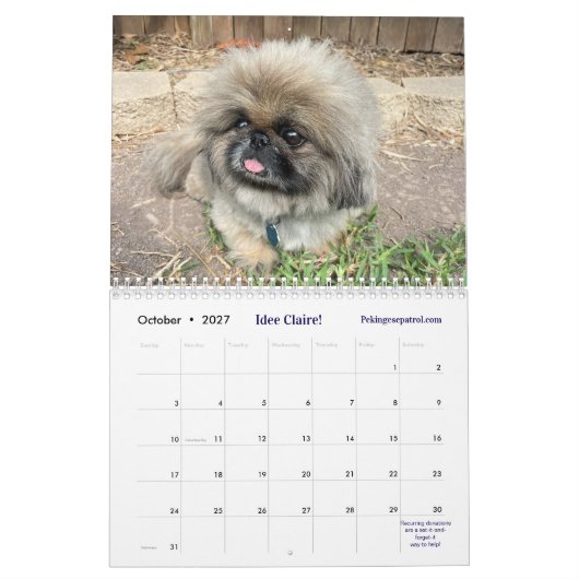 2026 Liz E.'s Pekingese Calendar Kalender (Okt 2027)