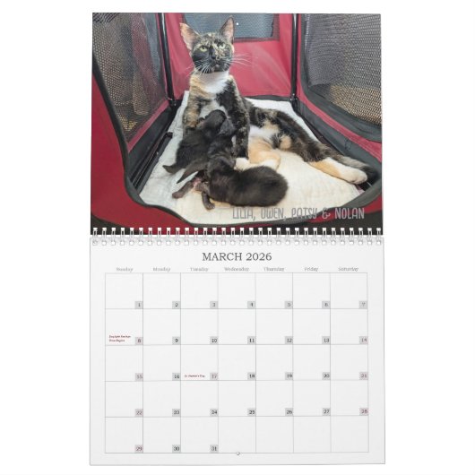 2026 Love & Hisses Calendar - Alphabet Soup Gang Kalender (Mar 2026)